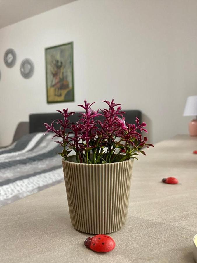 Cozy Apartment Ladybug, Sarajevo Exteriör bild